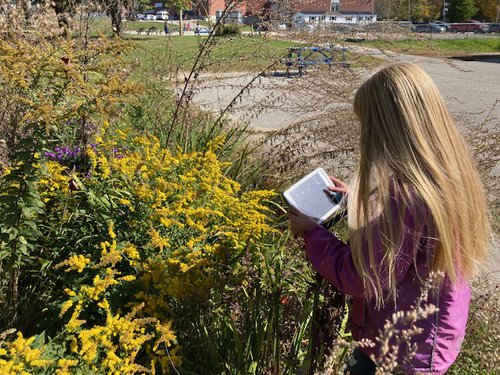 Student collecting data of their pollinator garden