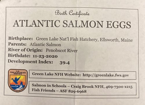 Salmon Birth Certificate